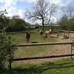 Hof Voege 게스트하우스 Brodersdorf