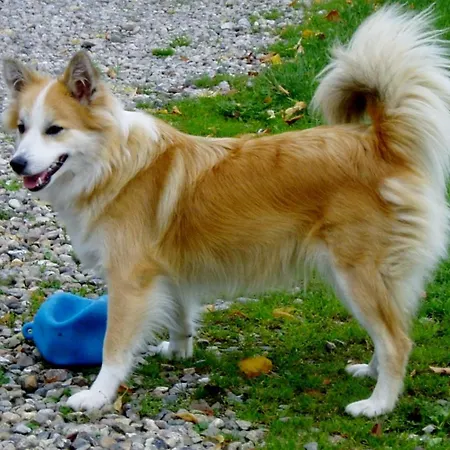 Hof Voege Pensjonat Brodersdorf