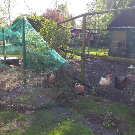 Pensjonat Hof Voege 4*