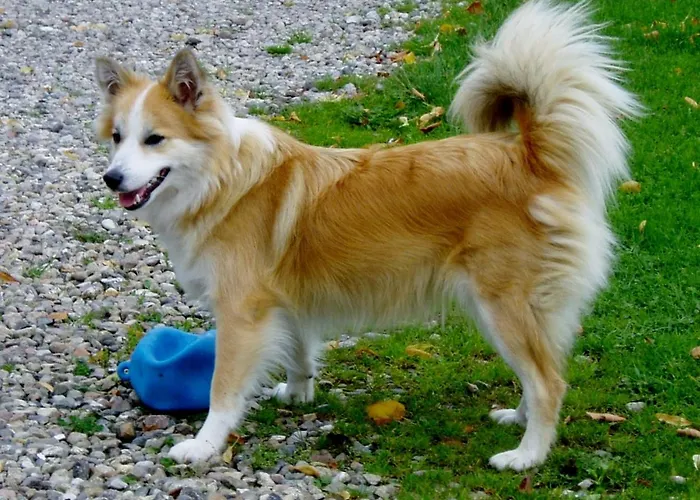 Hof Voege Gasthof Brodersdorf