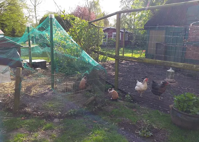 Gasthof Hof Voege 4*